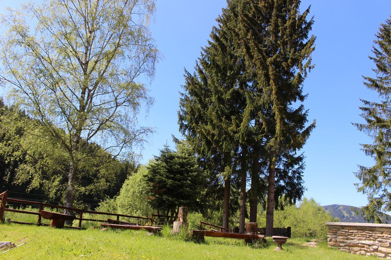 Železná Ruda Penzion Pohadka מראה חיצוני תמונה